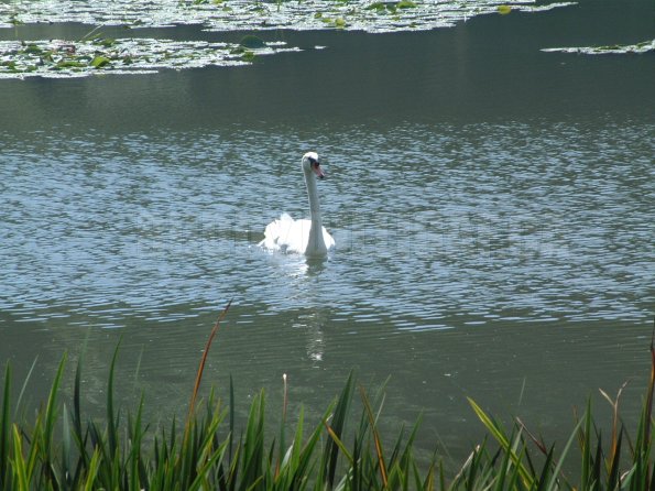 DSCF3763