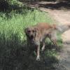 DSCF2002_001